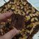 Cooksnap dari Dina Yulianti untuk resep Brownies panggang sekat