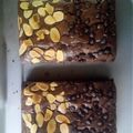 Cooksnap dari Suyanti Yanti untuk resep Shiny Crust Brownies