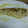 El cooksnap de rosa_aznarez cuando hizo Bacalao al ajillo.