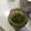 El cooksnap de Claudia Rojas cuando hizo Pesto de cilantro 🌿🥣🧀.