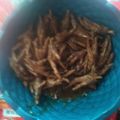 Cooksnap dari Laila Fudiyah untuk resep Ceker Bacem