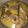 Cooksnap dari anis untuk resep Opor Ayam Putih