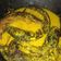 Cooksnap dari Adwindya Bharata pura untuk resep Lele Bumbu Kuning