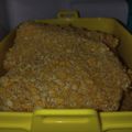 Cooksnap dari rosandra dwi untuk resep Chicken Katsu Renyah Ala Hokben