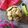 Cooksnap dari KasMira untuk resep Meises Macaroon