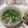 Cooksnap dari Bundadya untuk resep Ca Sawi Bakso