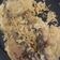 Cooksnap dari Inoy's Kitchen untuk resep Lele & Tempe Kremes