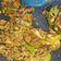 Cooksnap dari NOVITA FEBRIANI untuk resep Ikan Layang Pedas Manis