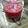 Cooksnap dari Ifanachi untuk resep Selai Strawberry Lokal Anti Gagal
