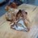 Cooksnap dari Eve_Joy untuk resep Ekkado