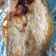 Cooksnap dari Lina untuk resep Salmon panggang miso mayones super yummy