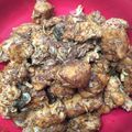 Cooksnap dari Pipit Indah untuk resep Rendang ayam