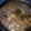 Cooksnap dari Nurjannah untuk resep Topping Ayam Kecap Serbaguna (untuk topping mie ayam, pangsit mie, nasi bakmoy, nasi tim dll)