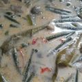 Cooksnap dari yulianto nugroho untuk resep Sayur lodeh terong