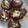 Cooksnap dari dinda putri untuk resep Pukis Cokelat #Keto #DEBM