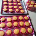 Cooksnap dari cuzhi untuk resep Cupcake mini / bolu kering