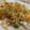 Sarita Srivastava's cooksnap of when they made Matar Pulao.