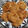 El cooksnap de Neus Arquer cuando hizo Hamburguesas vegetales con soja texturizada para bebés BLW (+8M).