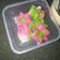 Cooksnap dari hanna untuk resep Ongol Ongol Singkong Rainbow