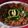 Vimmi Bhatia's cooksnap of when they made Roasted baigan bharta.