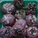 Cooksnap dari Deny Mool Perdian untuk resep Donat Empuk Lembut