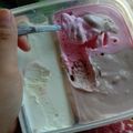 Cooksnap dari Lala cans untuk resep Es Krim Home Made