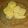 Haya Ali's cooksnap of when they made Sugar cookies.