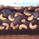 Cooksnap dari Dee untuk resep Brownies Panggang Simpel (source IG: @yackikuka)