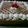 Cooksnap dari Rita D'Fahry untuk resep Tiramisu Kukus