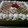 Cooksnap dari Rita D'Fahry untuk resep Tiramisu Kukus