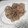 El cooksnap de Eriste AI cuando hizo Albóndigas con salsa de almendras.