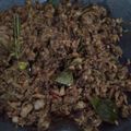 Cooksnap dari Finda W. untuk resep Oseng Tongkol Suwir pedas