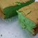 Cooksnap dari Tri Apsaldy untuk resep Chiffon cake pandan
