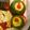 El cooksnap de Chulachef cuando hizo Zapallito verde relleno de carne picada en salsa.