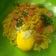 Cooksnap dari Rama Octa untuk resep Mie Goreng Nyemek