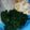 Agnes ndunge's cooksnap of when they made Ugali WA Mayai na Sukuma.