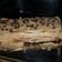 El cooksnap de mncarmona1979 cuando hizo Pastel de chocolate keto.