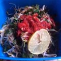 Cooksnap dari E_Kara untuk resep Tauge Kemangi Sambal Terasi