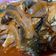 YuePing 的 醬燒虱目魚皮 / 家常菜 cooksnap