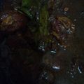Cooksnap dari Irin Dinania untuk resep Se.Da.Wi (Semur Daging betaWi)