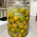 林珊珊 的 ［釀造］伏特加梅酒 cooksnap