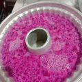 Cooksnap dari Windy Jatmika untuk resep Puding Buah Naga 🐉