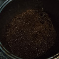 Cooksnap dari suryawati untuk resep 794.Wajik Wangi MagicCom