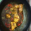 Cooksnap Shashah Gegurlz semasa beliau membuat Ayam Kicap.