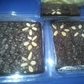 Cooksnap dari Ibu Dhea Marsya 2 untuk resep Brownis Shiny Crust