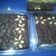 Cooksnap dari Ibu Dhea Marsya 2 untuk resep Brownis Shiny Crust