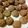 ymom's cooksnap of when they made Banana Oatmeal Cookies.