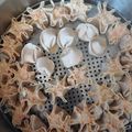 Cooksnap dari Irmayanti untuk resep 326. Dimsum Siomay Ayam Udang (Toping Wortel dan Jamur Kancing)
