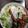 yên nhiên thái hoài's cooksnap of when they made Bún Thịt Nướng.