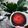 Cooksnap dari septia tri setyo ningrum untuk resep Mochi with Choco Strawberry